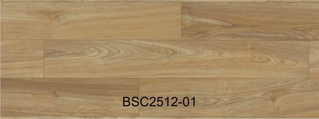 BSC2512-01