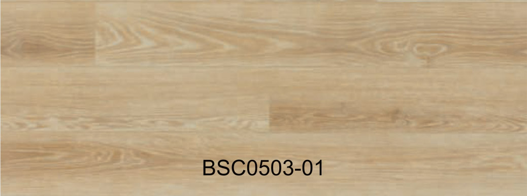 BSC0503-01