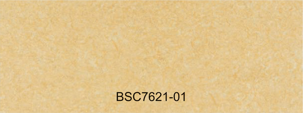BSC7621-01