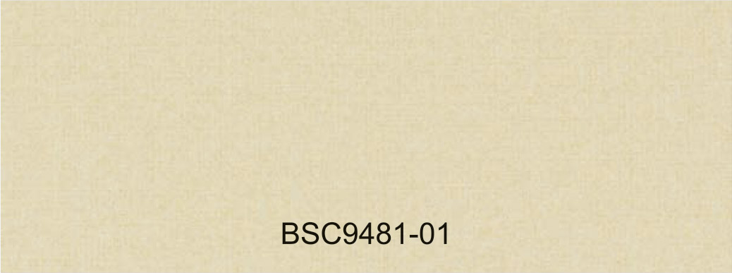 BSC9481-01
